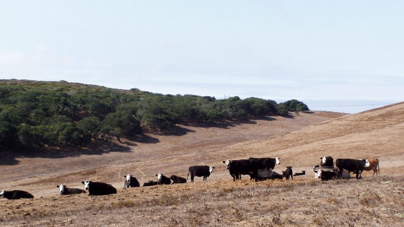 Tonini Ranch – San Luis Obispo, California